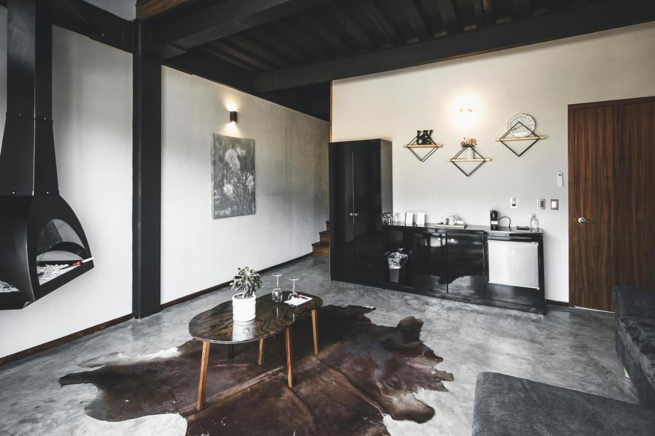 Origen75 Loft - Villas - Skypool - Vinedo, Guadalupe Eksteriør billede