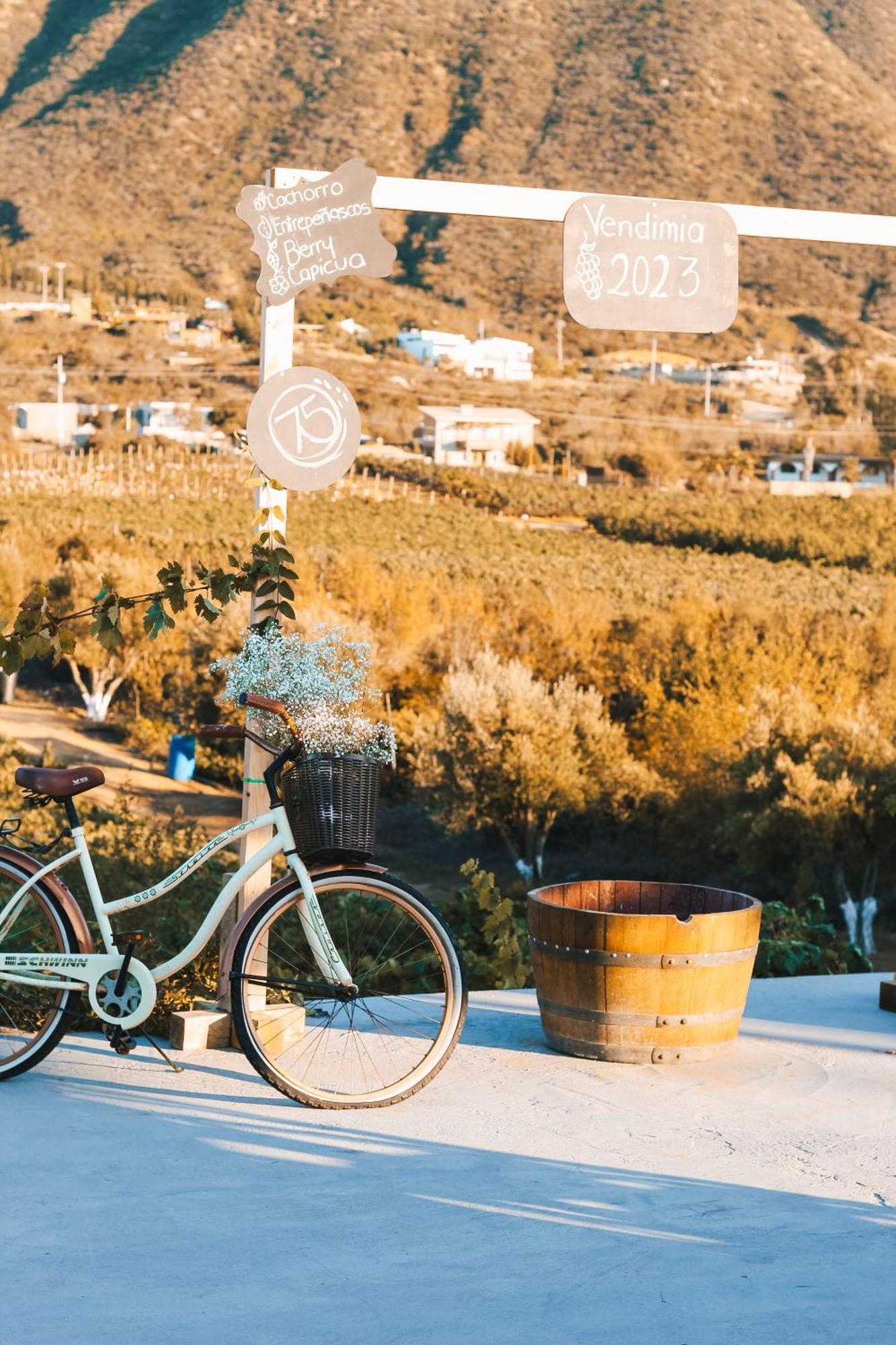 Origen75 Loft - Villas - Skypool - Vinedo, Guadalupe Eksteriør billede